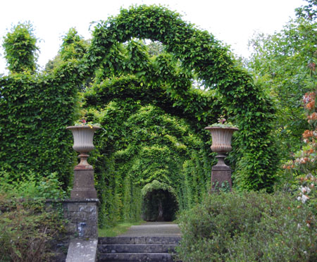 Jardín Norte Birr-castle-gardens